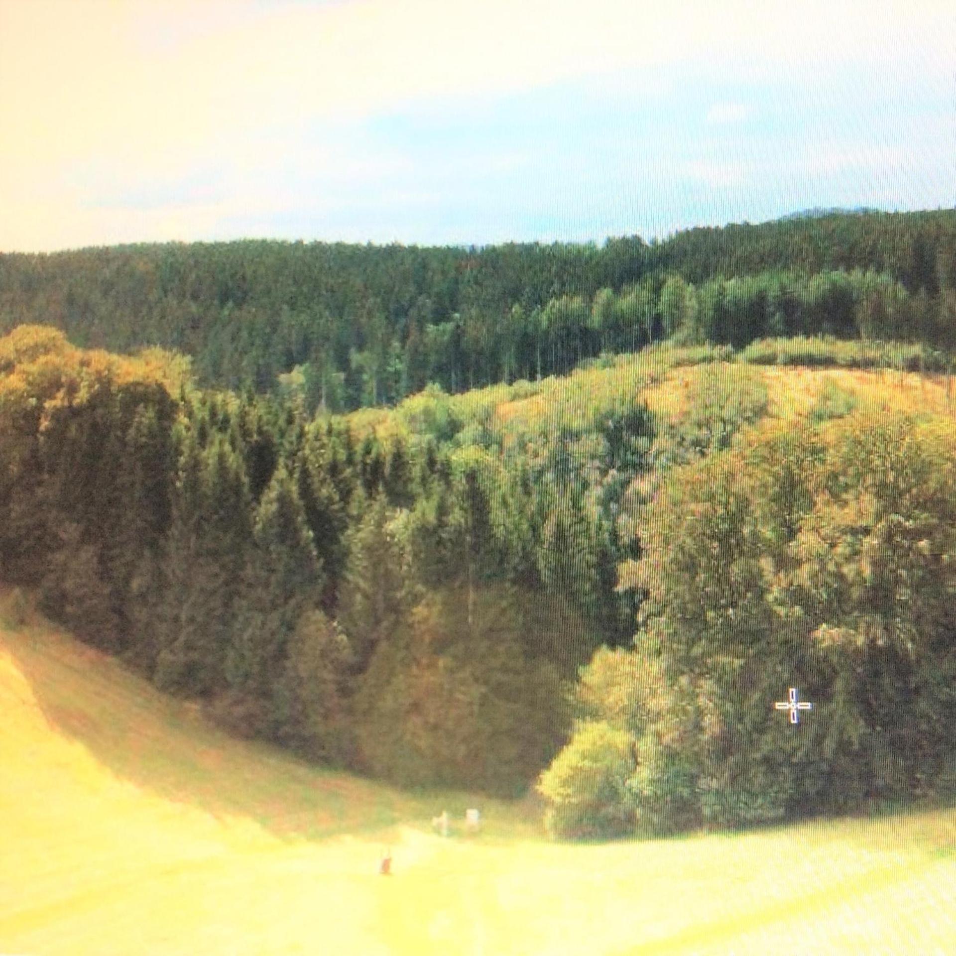 Ferienwohnung Panoramicharz App459 Braunlage Exterior foto